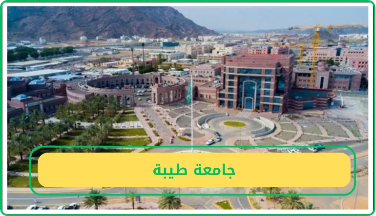   جامعة طيبة 