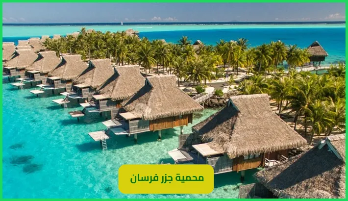 محمية جزر فرسان