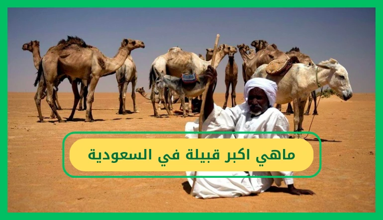   ماهي اكبر قبيله في السعوديه 