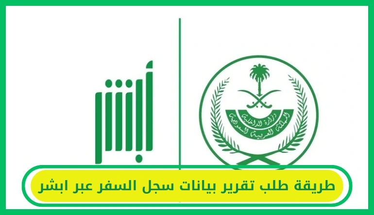   تقرير بيانات سجل السفر 