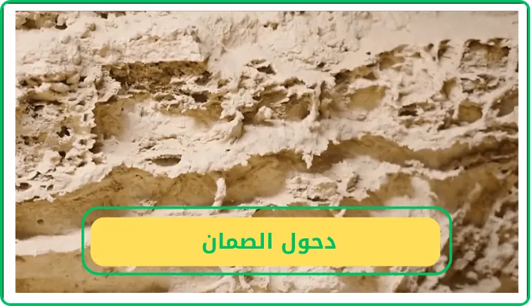   دحول الصمان 