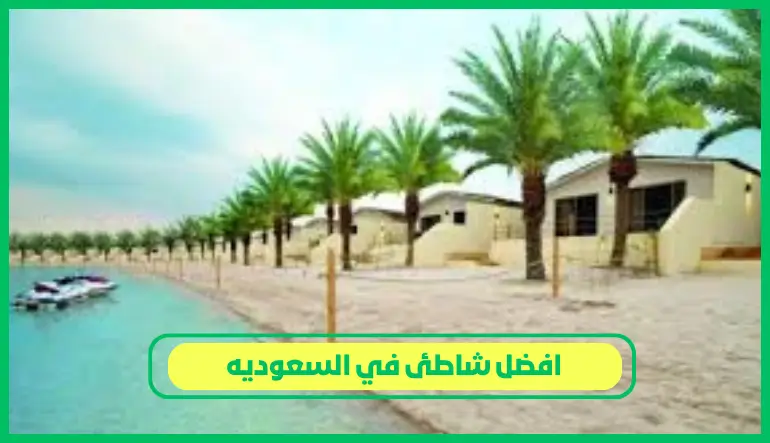   افضل شاطئ في السعوديه 