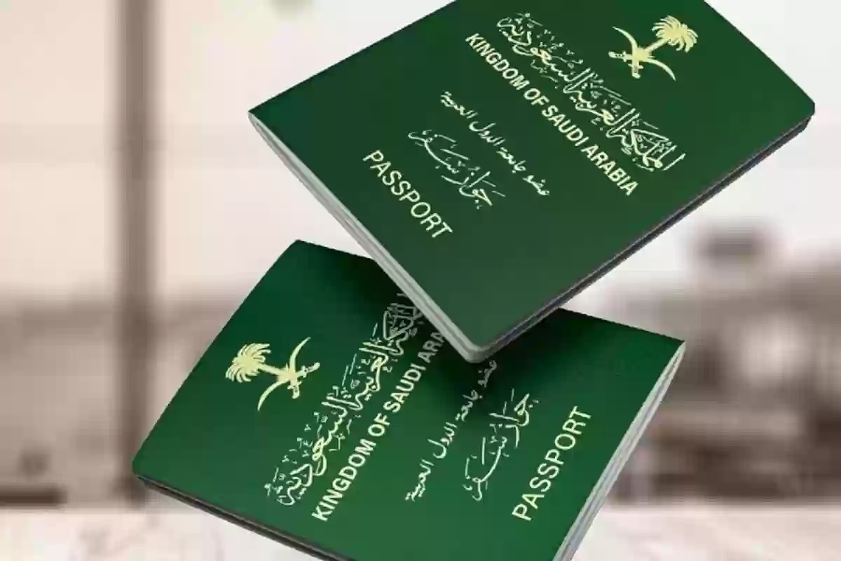 الاستعلام عن التأشيرات عبر منصة إنجاز