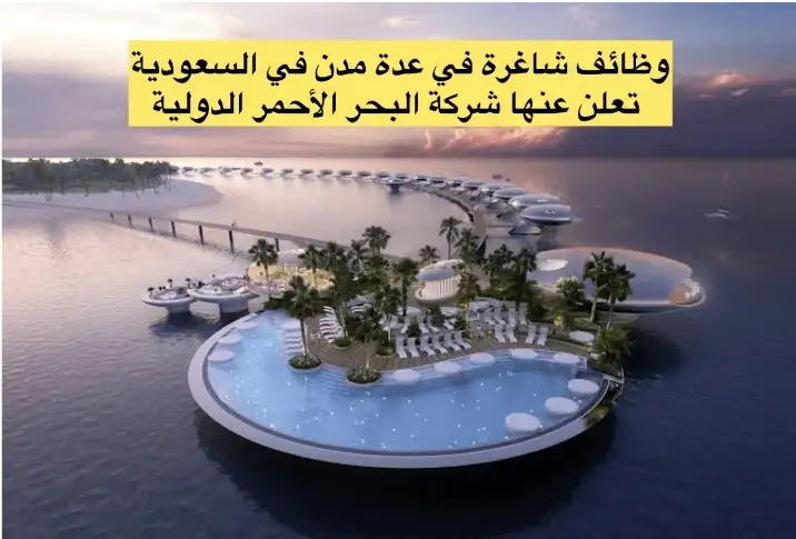   شركة البحر الأحمر الدولية 