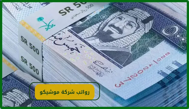  رواتب شركة موشيكو  