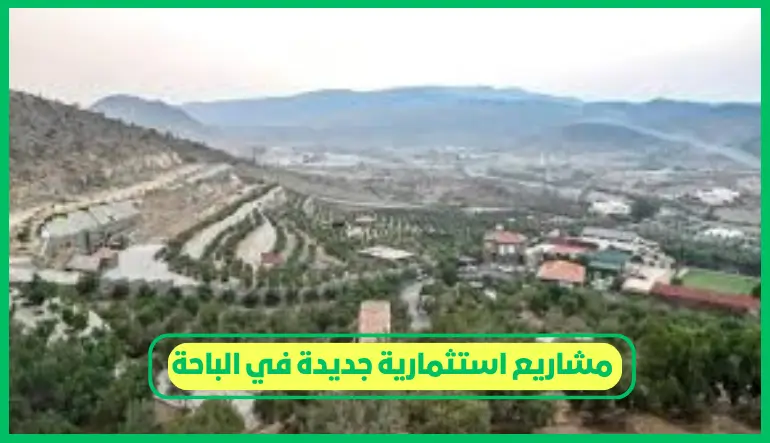 مشاريع استثمارية جديدة في الباحة