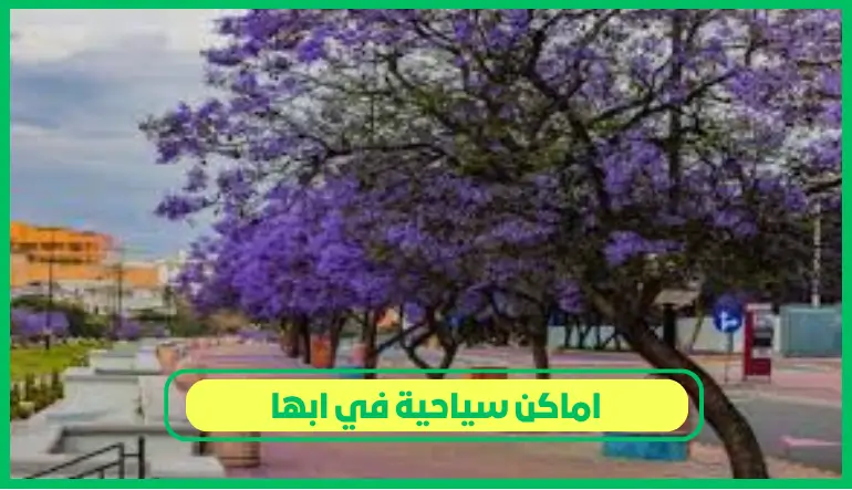   اماكن سياحية في ابها 