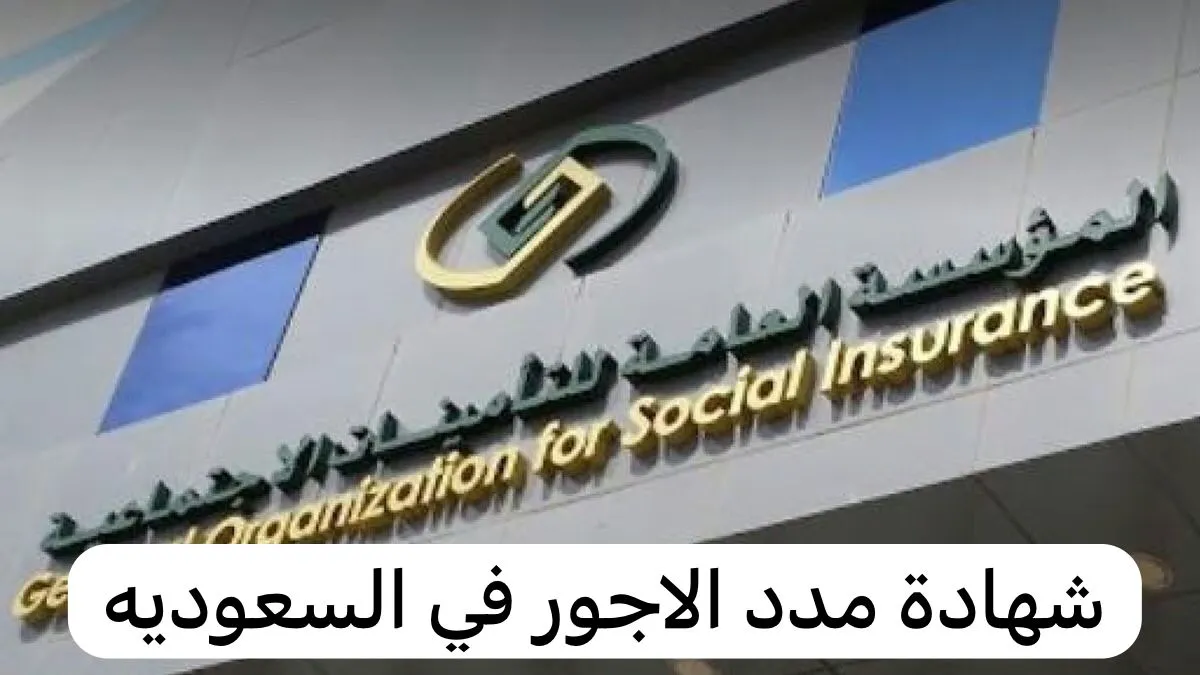 كيف تستفيد من بيان مدد الأجور لتحسين وضعك المالي