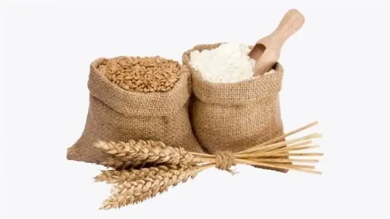 أحكام صلاة العيد وزكاة الفطر
