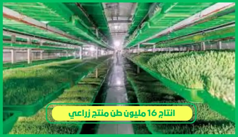 انتاج 16 مليون طن منتج زراعي