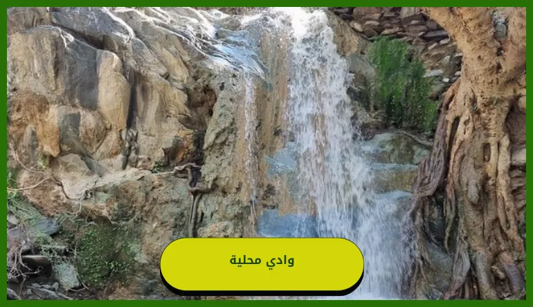 وادي محلية