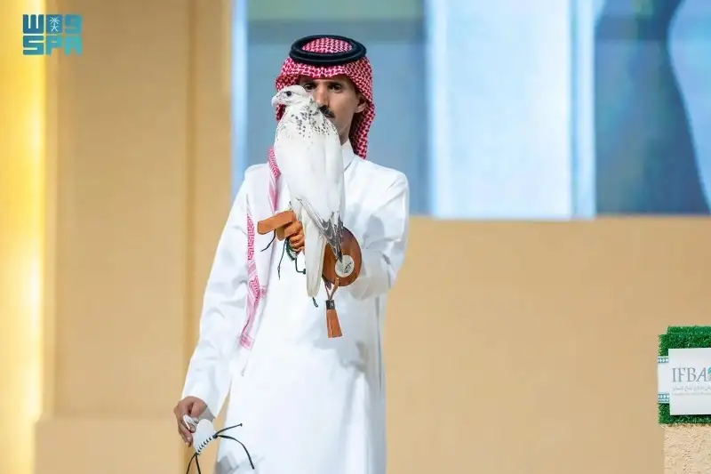   صقر 