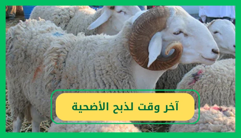   آخر وقت لذبح الأضحية 